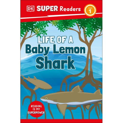 Life of a baby lemon shark: KS 1-2 non fiction reader