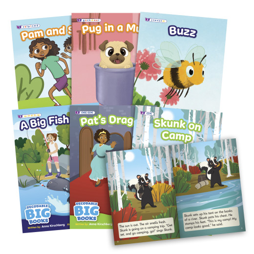 Decodable big books for group reading